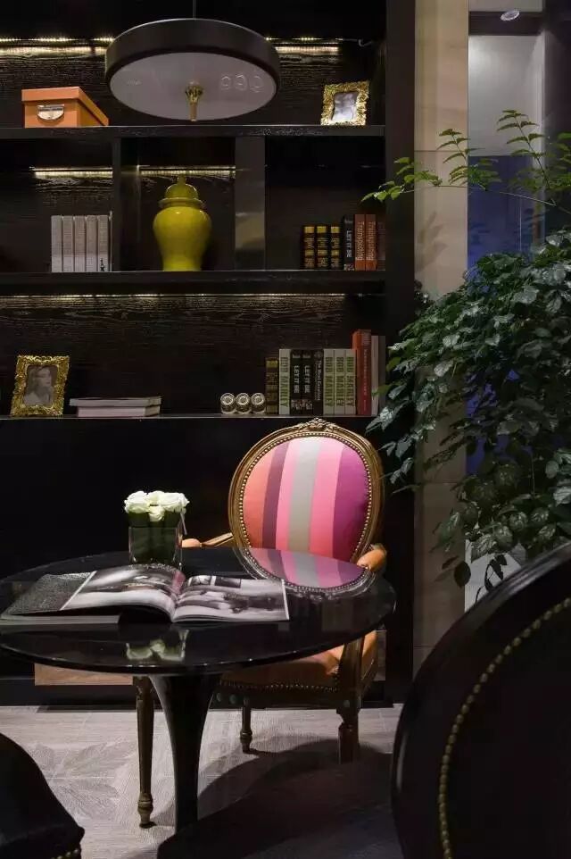 新作 | 曾建龍：在Cavalli展廳來一場“野”性大秀