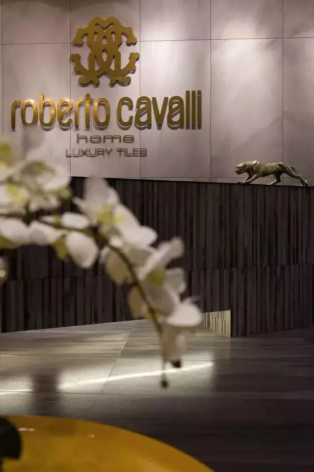 新作 | 曾建龍：在Cavalli展廳來一場“野”性大秀