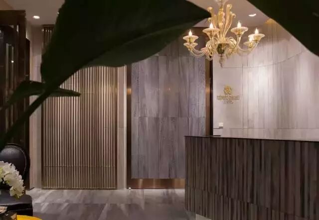 新作 | 曾建龍：在Cavalli展廳來一場“野”性大秀