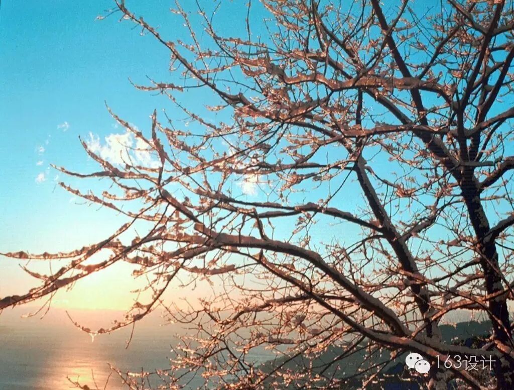 大咖秀NO.23 | Marco Romanelli：设计本身就意味着不断说NO