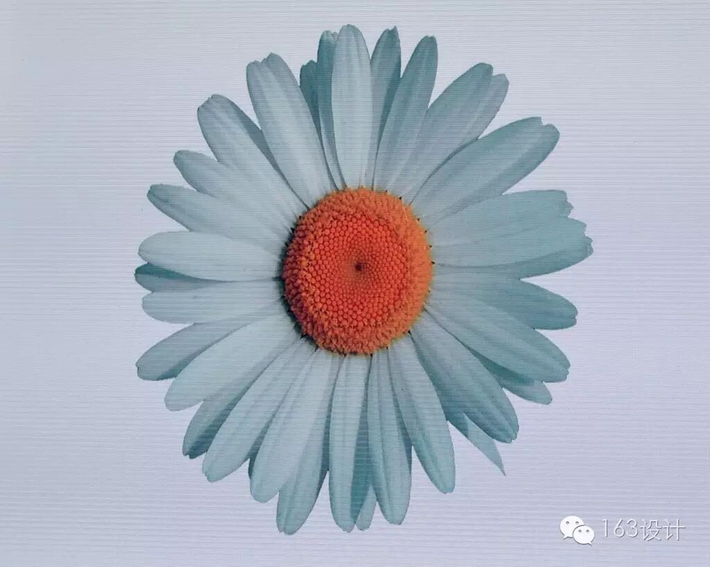 大咖秀NO.23 | Marco Romanelli：设计本身就意味着不断说NO