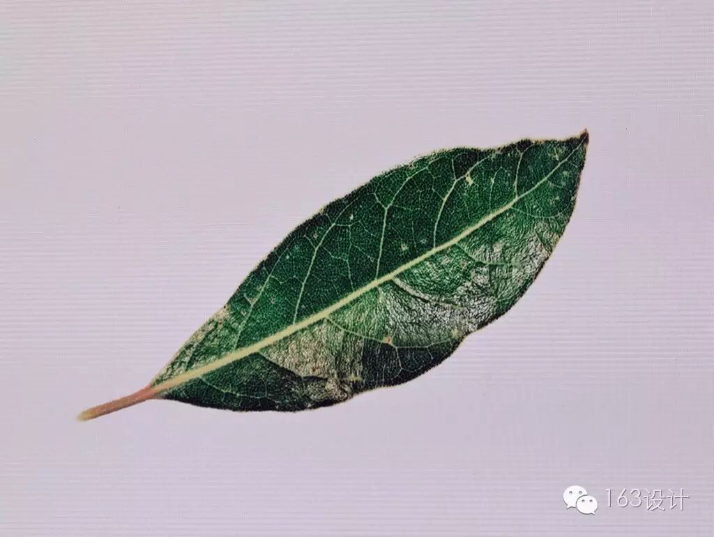 大咖秀NO.23 | Marco Romanelli：设计本身就意味着不断说NO