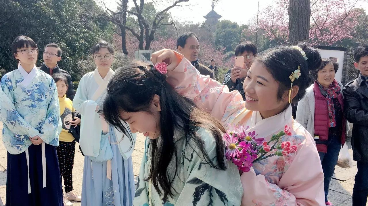 汉服佳人,踏青赏红,梅花节再现"花朝节"场景