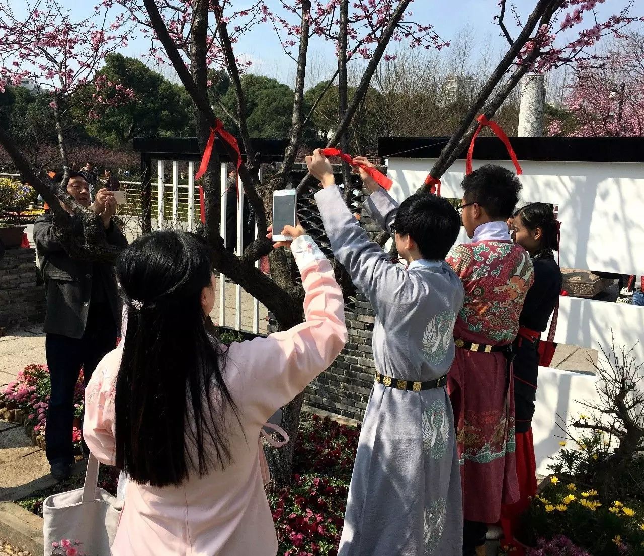 汉服佳人,踏青赏红,梅花节再现"花朝节"场景-广州鲜花销售联盟