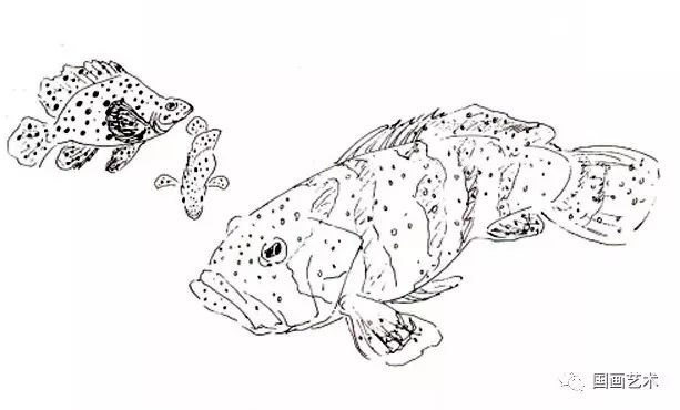 图文教程:各种鱼的彩墨画法(下)
