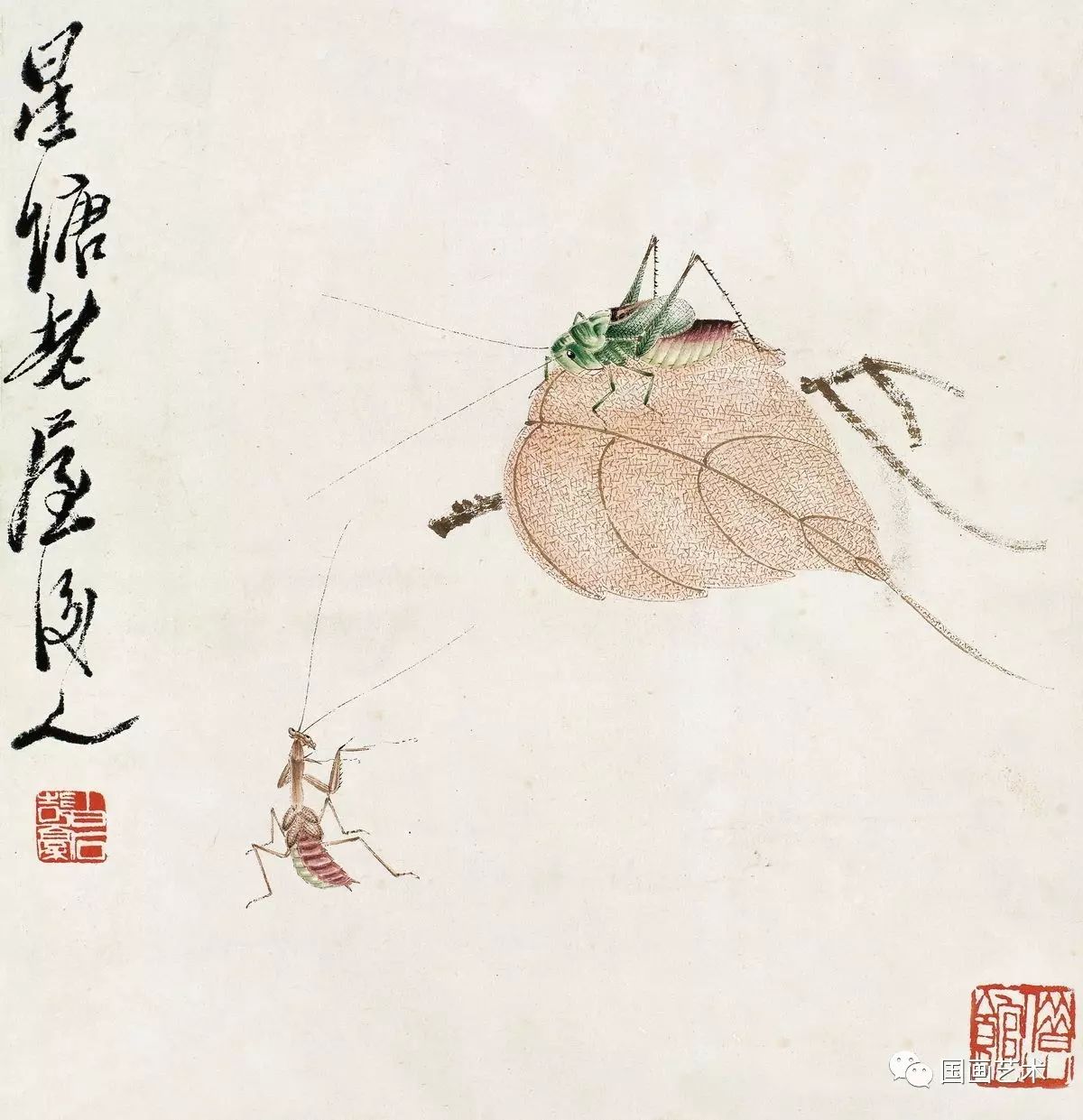现当代名家:齐白石草虫作品欣赏
