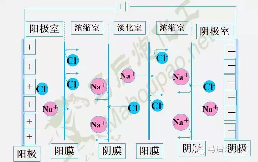 细说你不知道的膜分离技术应用领域