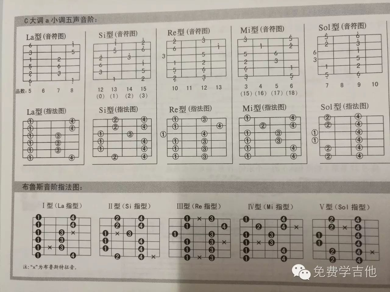 自学布鲁斯吉他:基本乐理