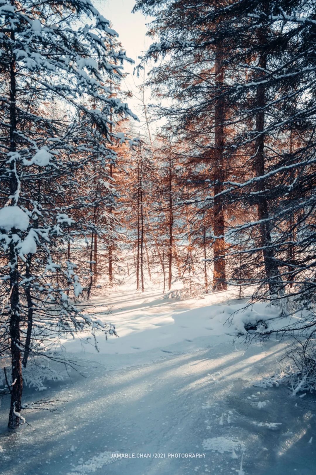 雪景大赏从南京到哈尔滨从冰岛到北海道