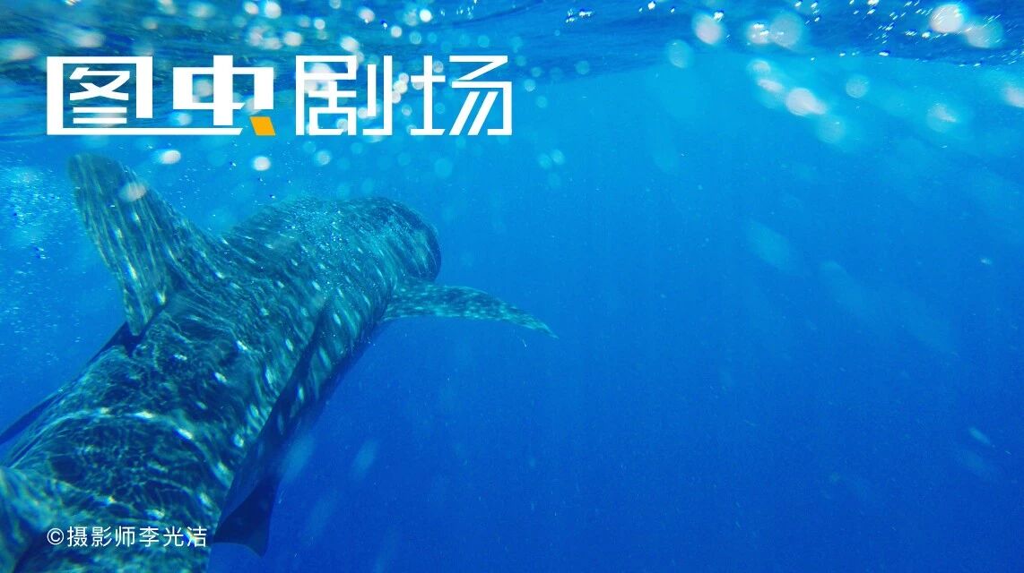 李光洁,一个被演戏耽误了的摄影师