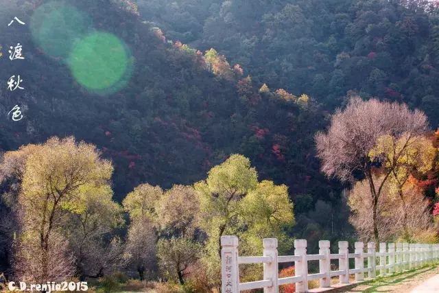 周末活动▍12月11日(周日)陇县西武当山,青阳峡休闲徒步登高一日游