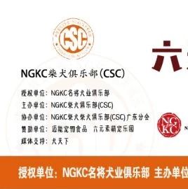 NGKC柴犬俱乐部广州站成绩表