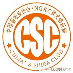 NGKC柴犬俱乐部广州站 繁殖展成绩表