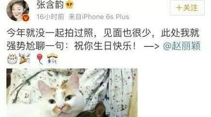 #张含韵赵丽颖#一只网红猫引发的微博大战