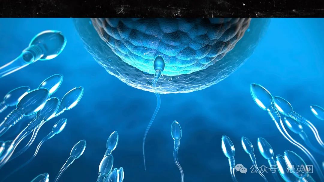 World's First Sperm Race Athletes Training Hard to Optimize Game Day Glory