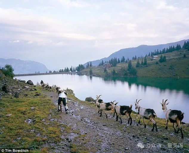 Thomas Thwaites persuaded a goatherd to let him come along when the herd were moved to their summer pasture