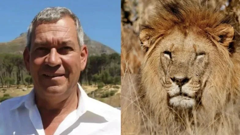 German Businessman Dies in Lion Attack in Namibia – RayHaber