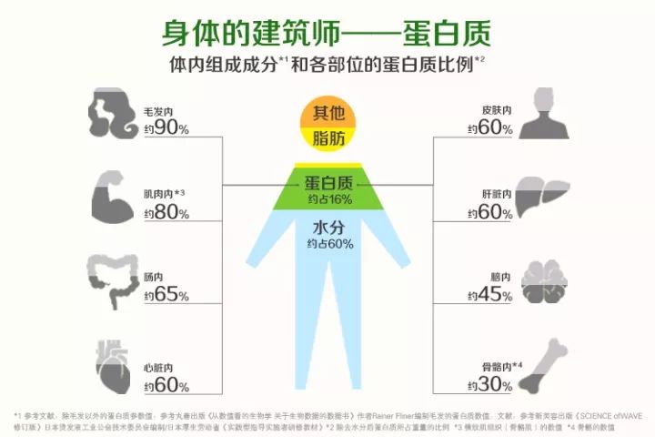 而且,人体每天更新约3%的蛋白质 所以需要每天补充蛋白质 所以问题