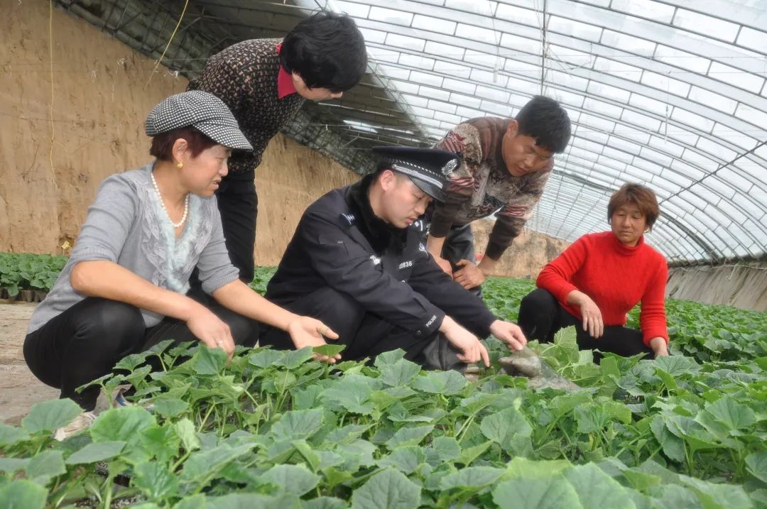 学英模铸警魂民警杨少磊湛蓝海洋里的一滴水