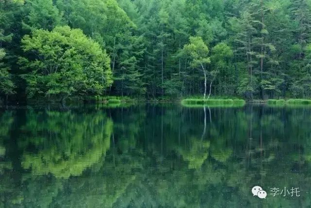 读 (附绝美的小提琴曲《寂色》)-阅读 附绝美的小提琴曲 寂色