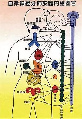 远红外线的作用和功效_沉香线香的功效与作用_远投用深线杯还是浅线杯