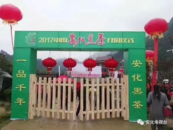 回顾：安化黑茶开园 目标综合产值150亿元