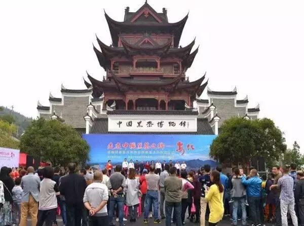 体验黑茶文化，感受桑香魅力——湖南经视走进中国黑茶博物馆(附