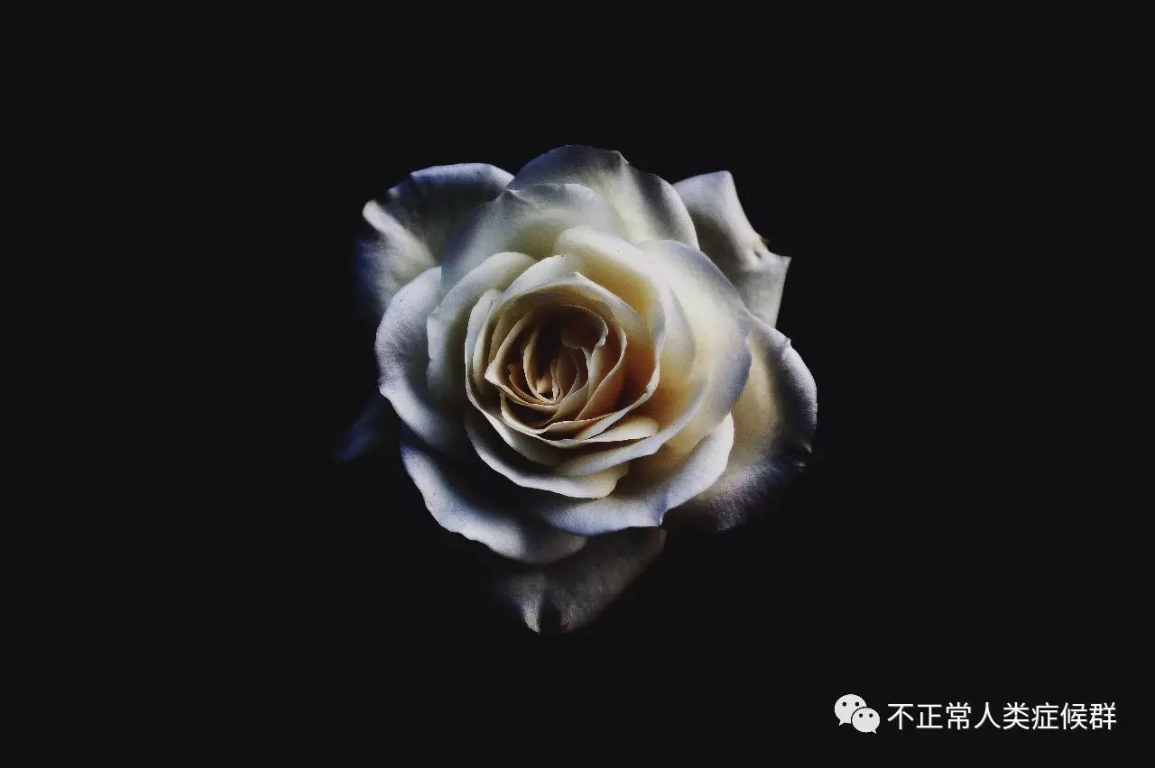 时间是掉进旋涡的秘密