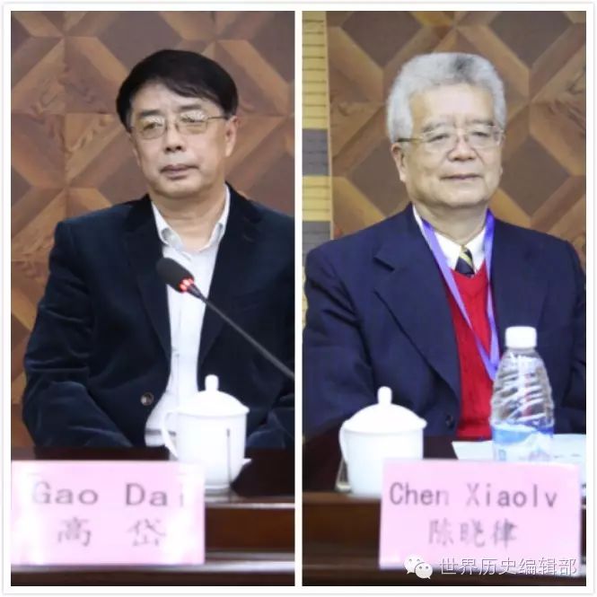 北京大学历史学系高岱教授出席会议并致辞 南京大学历史学院陈晓律