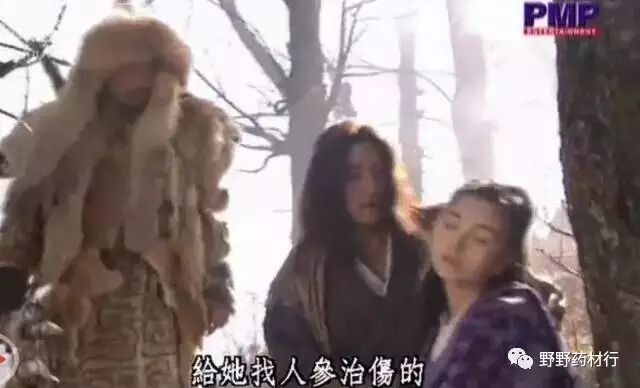 野野药材行告诉你人参为什么叫做百草之王