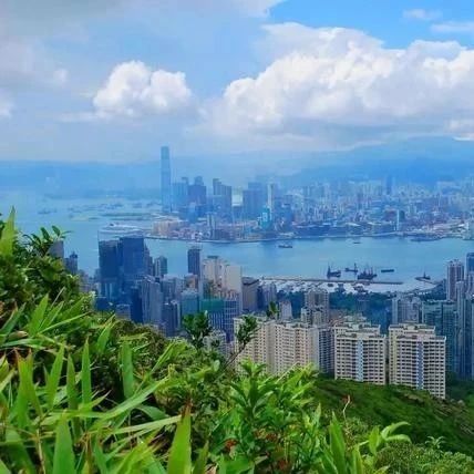 新移民到香港，香港创业，无学历要求可快速赴港