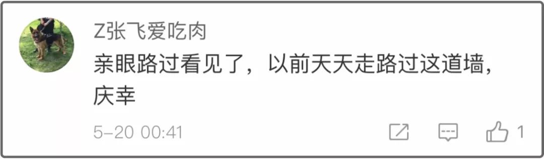 飞机剧烈摇晃无法降落 乘客惊魂 大树吹倒 外卖哥被砸死…这里强风肆虐