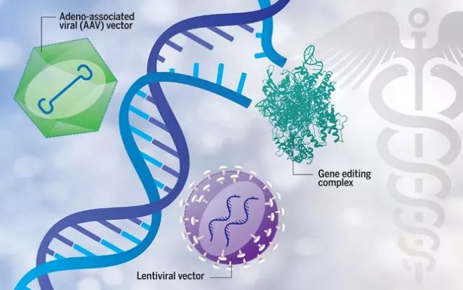 science:基因疗法时代已经到来!