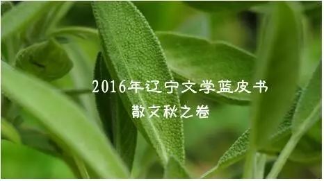 蓝皮书||李霞:2016年辽宁文学蓝皮书散文秋之卷——秋阳温馨的普照