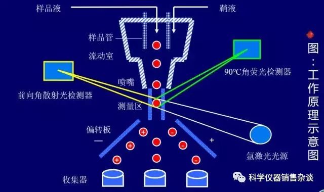 流式细胞仪知识大盘点