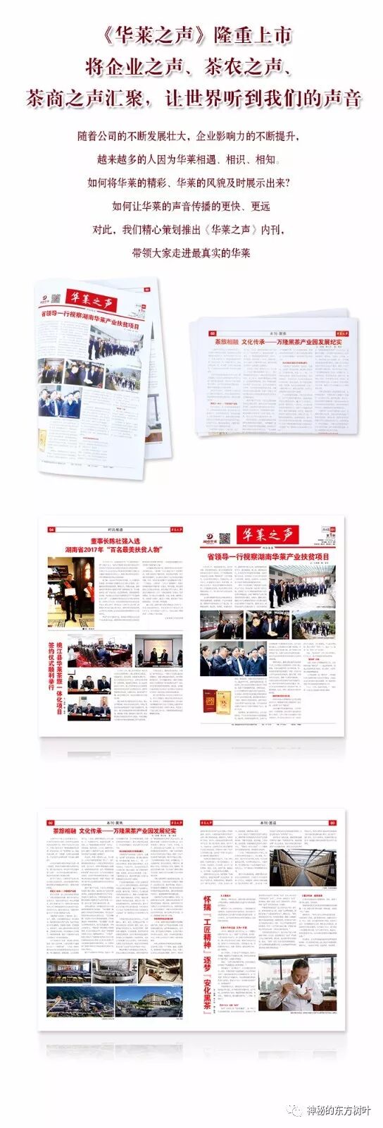 湖南卫视现场直播华莱精准产业扶贫