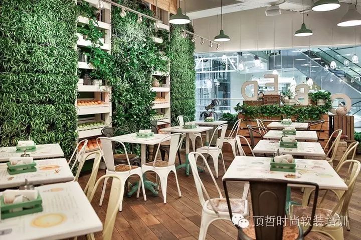 这些绿植让餐厅变得更有质感,无法不去挥霍的气质[顶哲软装29期]