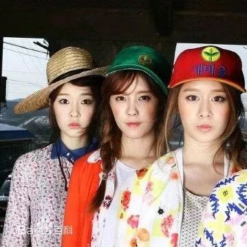 T-ara N4 -田园日记舞蹈教学