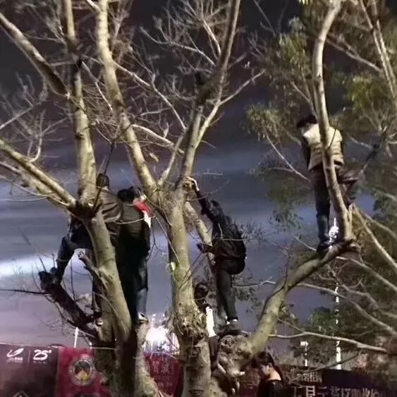 古巨基——演唱会现场惊现“山顶“的朋友!