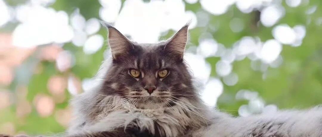 ۸ѧ|۸èŻ˵ӡչ⣬ʼͼƬ