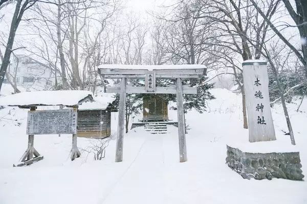 北海道最美的時刻到了丨往返機票¥1000左右，你怎麼能錯過這夢幻的冰雪世界！ 戲劇 第75張