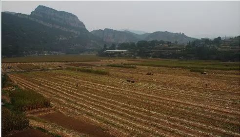 橋是出入的唯一通道，河南這個深山里的古村落讓時光慢下來 旅行 第51張