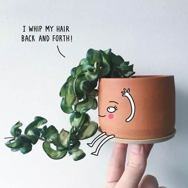 高萌英文插画告诉你：原来生活这么有趣