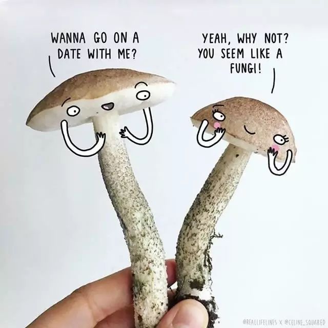 高萌英文插画告诉你：原来生活这么有趣