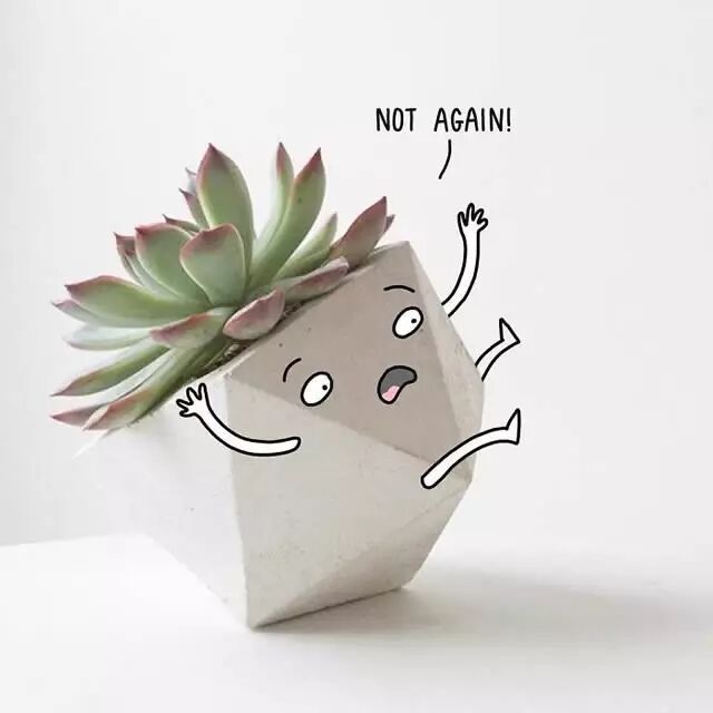 高萌英文插画告诉你：原来生活这么有趣