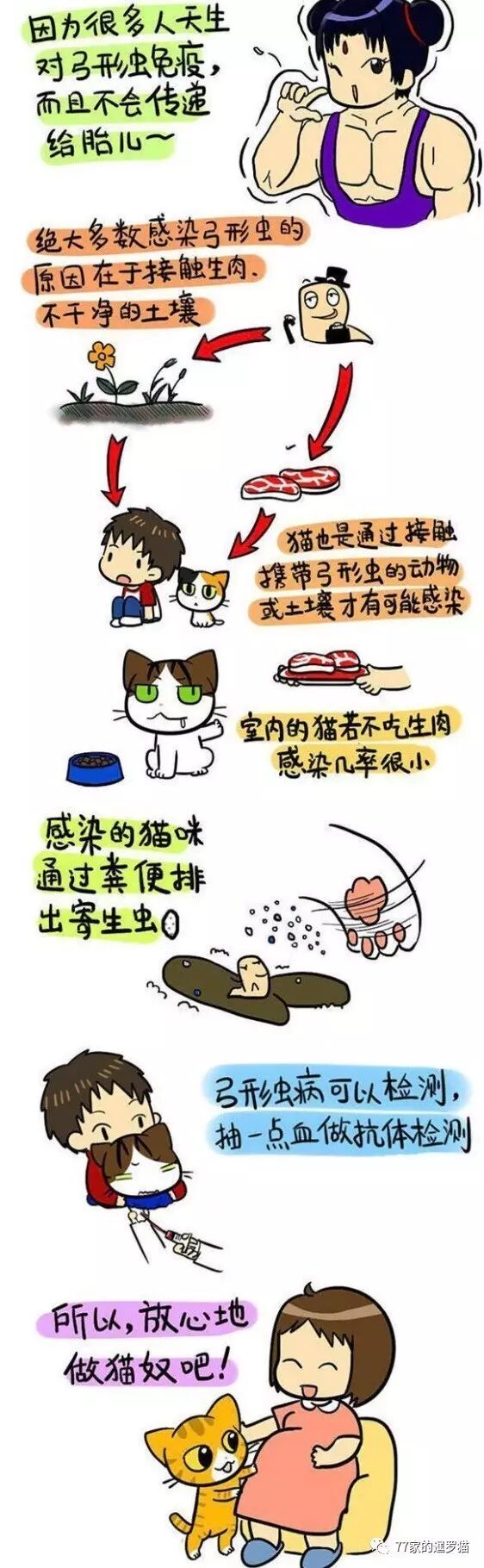 为什么怀孕不能养猫?