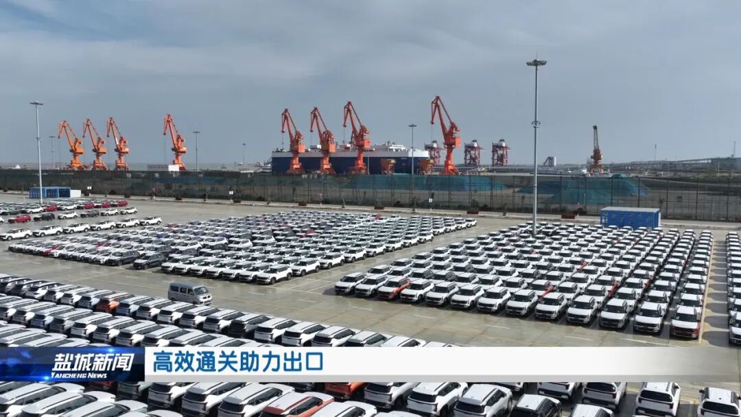 德信体育