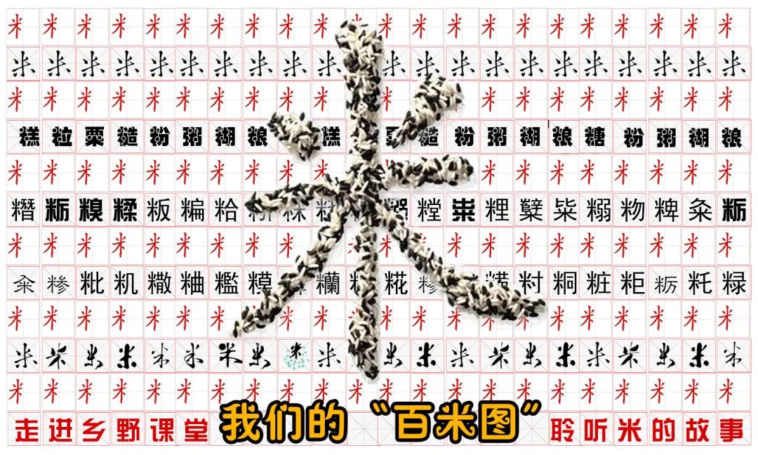 田野里的自然课堂系列一餐饭的世界识稻收稻玩稻话稻食稻豆类科普下地