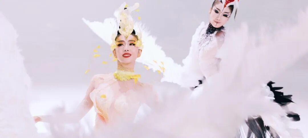 舞者身着天鹅羽毛服饰，设计精美