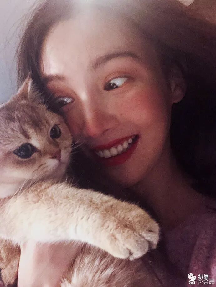 双双否认却处处暧昧贾乃亮和邓伦前女友的新恋情里好多宝藏啊